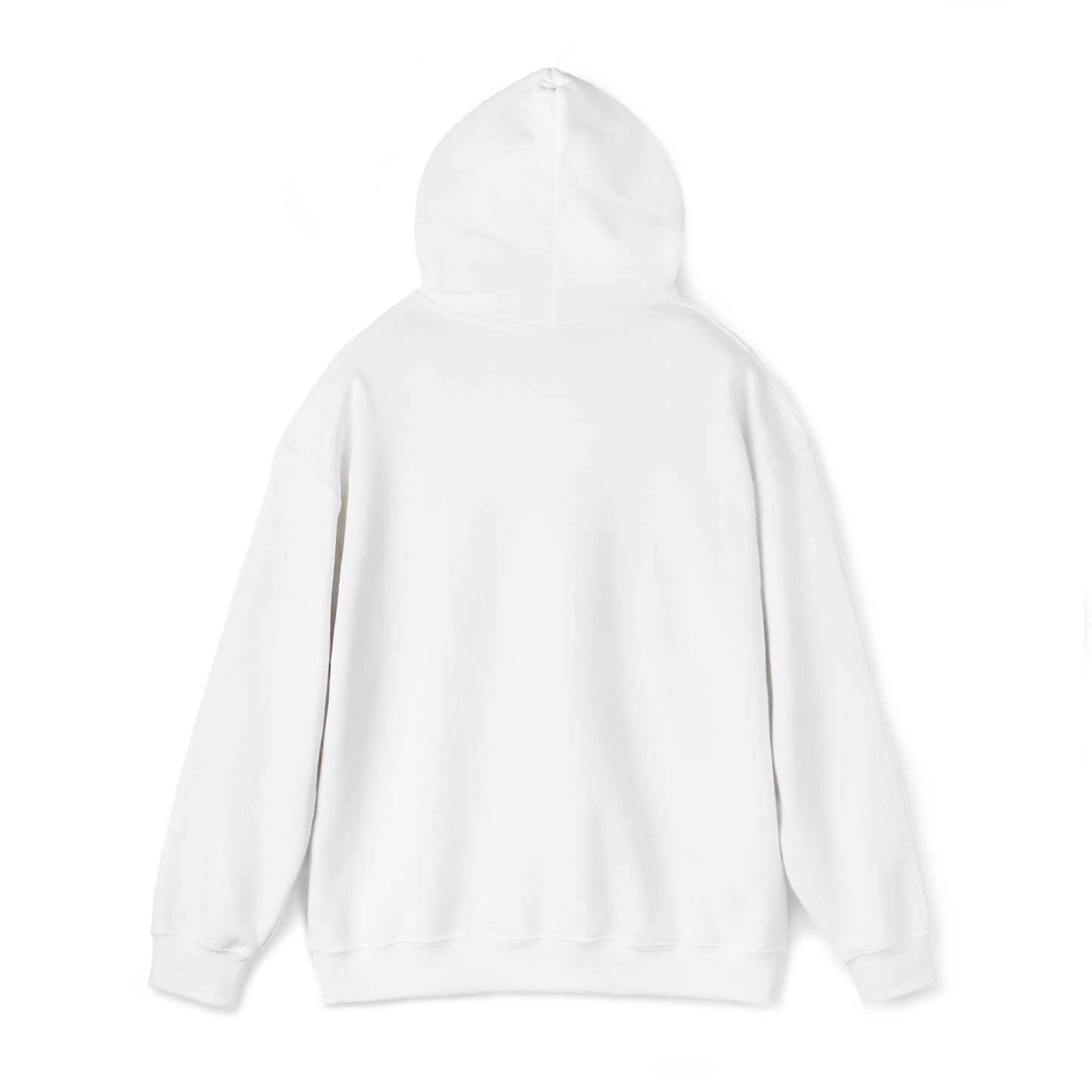 Brandon Blocked Hoody