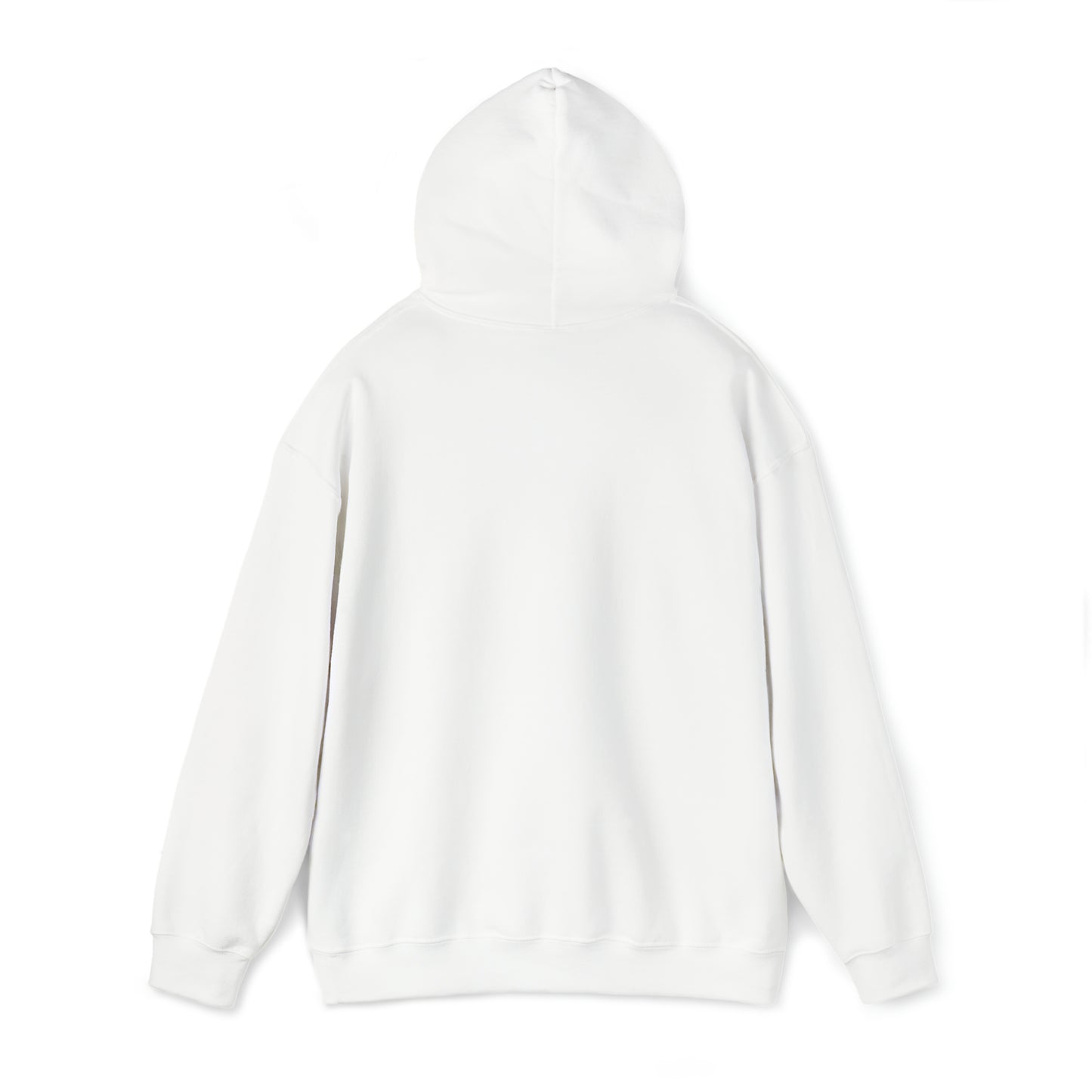 Brandon Blocked Hoody