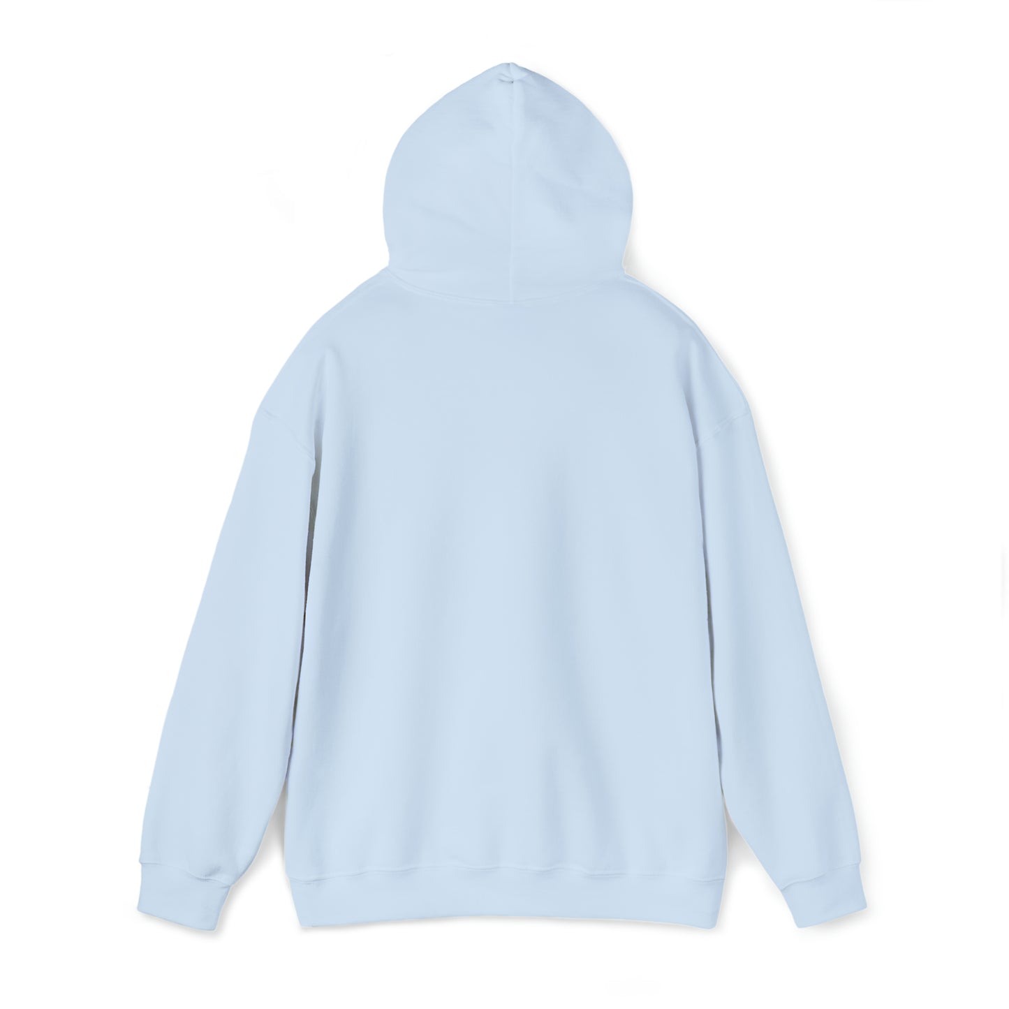 Brandon Blocked Hoody